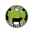 ontario-corn-feed-beef